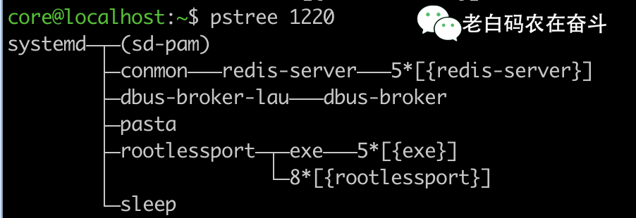 podman-machine-pstree
