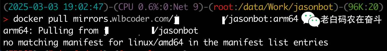docker-run-error